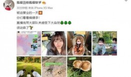 张子萱事件爆料文字视频,揭秘背后真相与舆论风暴