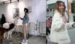 陈意礼真实爆料视频大全,揭秘真实事件背后的真相